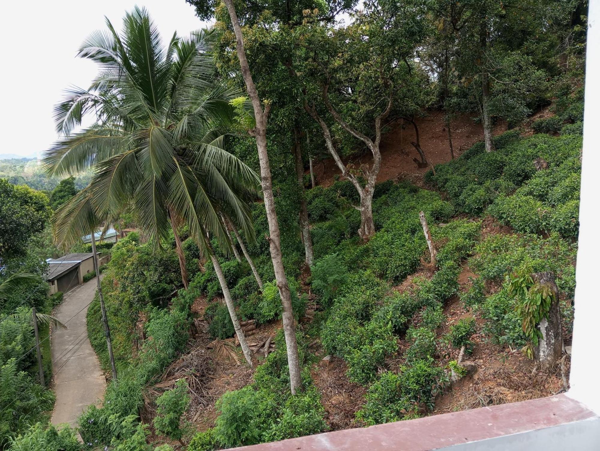 Mountain Bliss Villa Peradeniya Room photo